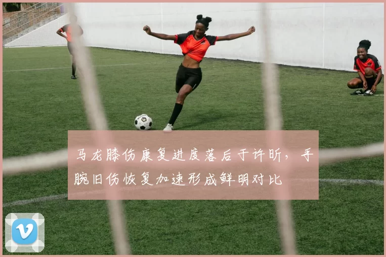 马龙膝伤康复进度落后于许昕，手腕旧伤恢复加速形成鲜明对比