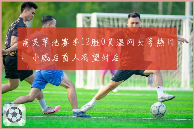 高芙草地赛季12胜0负温网头号热门，小威后首人有望封后